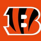 Cincinnati Bengals Logo Two Strip Flag 3X5 Ft Polyester Banner USA 90x150cm