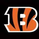 Cincinnati Bengals Sport Flag 3X5 Ft Polyester Banner USA 90x150cm
