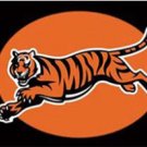 Cincinnati Bengals Club Flag 3X5 Ft Polyester Banner USA 90x150cm