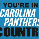 Carolina Panthers Team Flag 3X5 Ft Polyester Banner USA 90x150cm