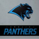 Carolina Panthers Logo US Flag 3X5 Ft Polyester Banner USA 90x150cm