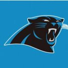 Carolina Panthers Logo Stripe Flag 3X5 Ft Polyester Banner USA 90x150cm