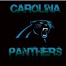 Carolina Panthers Sport Flag 3X5 Ft Polyester Banner USA 90x150cm