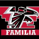 Atlanta Falcons Familia Flag 3X5 Ft Polyester Banner USA 90x150cm