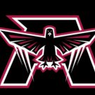Atlanta Falcons Black US Flag 3X5 Ft Polyester Banner USA 90x150cm