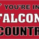 Atlanta Falcons Club Flag 3X5 Ft Polyester Banner USA 90x150cm