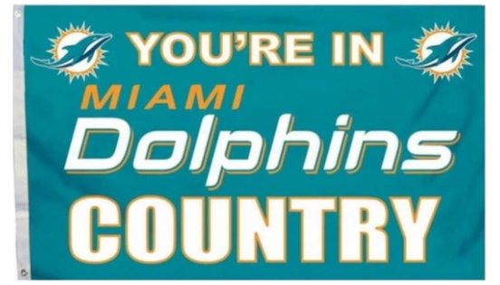 Miami Dolphins You Are In Flag 3X5 Ft Polyester Banner USA 90x150cm