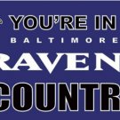 Baltimore Ravens You Are In Country Flag 3X5 Ft Polyester Banner USA 90x150cm
