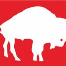 Hemlet Buffalo Bills Old Flag 3X5 Ft Polyester Banner USA 90x150cm