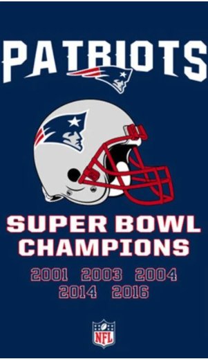 Super Bowl Champions Patriots Flag 3X5 Ft Polyester Banner USA 90x150cm