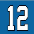 Seattle Seahawks 12 Flag 3X5 Ft Polyester Banner USA 90x150cm