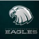 Philadelphia Eagles Team Flag 3X5 Ft Polyester Banner USA 90x150cm