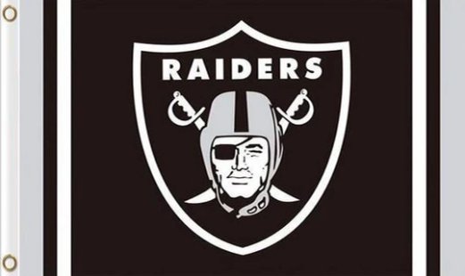 Oakland Raiders Team Flag 3X5 Ft Polyester Banner USA 90x150cm