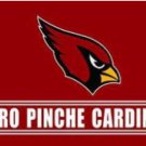 Arizona Cardinals Puro Pinche Sports Flag 3X5 Ft Polyester Banner USA 90x150cm
