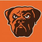 Cleveland Browns Logo Two Strip Flag 3X5 Ft Polyester Banner USA 90x150cm