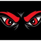 Cincinnati Bearcats Hand Black Flag 3X5ft Banner USA Polyester with 2 Brass Grommets