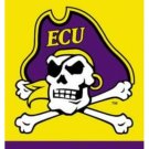 East Carolina Pirates Yellow Flag 3X5ft Banner USA Polyester with 2 Brass Grommets