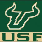 South Florida Bulls Sport Flag 3X5ft Banner USA Polyester with 2 Brass Grommets