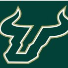 South Florida Bulls USA Sport Flag 3X5ft Banner USA Polyester with 2 Brass Grommets