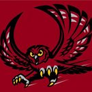 Temple Owls Club Sport Flag 3X5ft Banner USA Polyester with 2 Brass Grommets