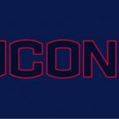 Connecticut Huskies Logo Sport Flag 3X5ft Banner USA Polyester with 2 Brass Grommets