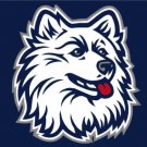 Connecticut Huskies Hand Flag 3X5ft Banner Polyester with 2 Brass Grommets