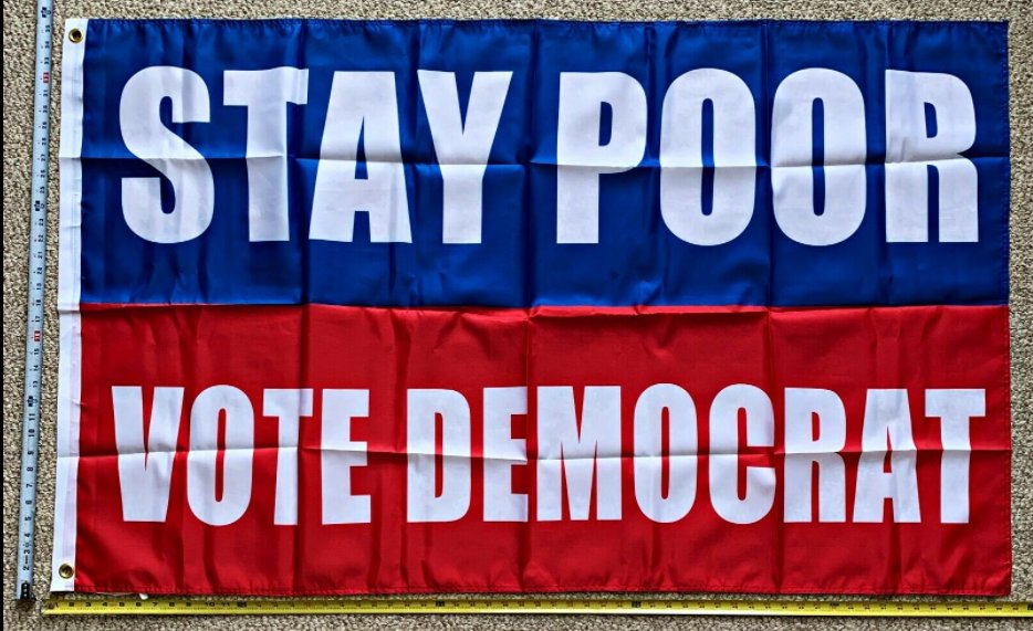 Donald Trump 2024 Flag Stay Poor Vote Dem USA MAGA Desantis Sign 3x5ft