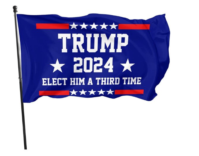 Trump 2024 Elect Him For The Third Time 3x5 Ft Banner Flags