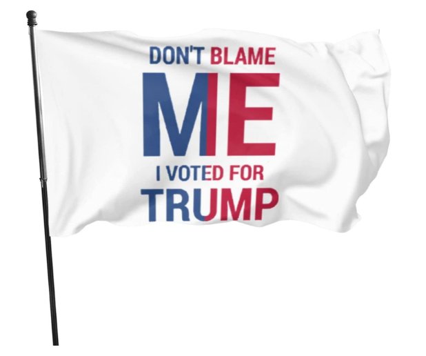 Dont Blame Us We Voted Trump Trump For President 3x5ft