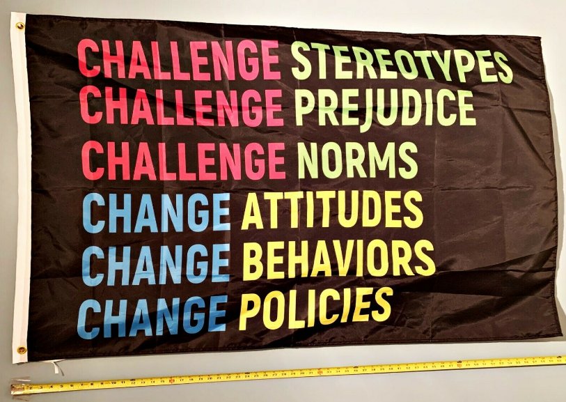 LGBTQ Flag Challenge Gay Biden Trump USA Poster Sign 3x5
