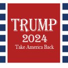 Donald Trump 2024 Flag Take America Back 3x5Ft Banner Polyester Printed - 4