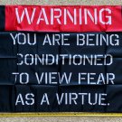 Donald Trump 2024 Flag You Are Being Conditioned USA Desantis Sign 3x5'