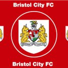 Bristol City Football Club Flag 3x5ft Banner polyester Red