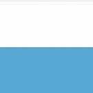 Coventry City Horizontal Halves Flag 3x5ft Banner Polyester