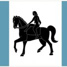 Coventry City Polyester White Flag 3x5ft Banner Polyester