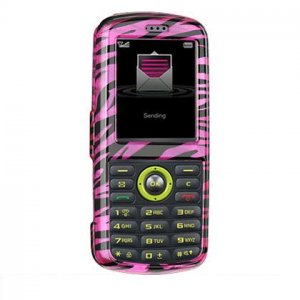 Hard Plastic Design Cover Case for Samsung Gravity T459 - Plum Zebra