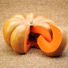 10 Muscat de Provence pumpkin Seeds,pumpkin seeds,SW94