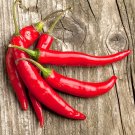 50 Chili pepper Seeds,Capsicam,Hot chili pepper seeds ,SW115 50 Chili pepper Seeds,Capsicam,Hot chili pepper seeds ,SW115