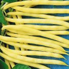 25 Yellow Asparagus Beans Seeds ,Yellow Bean,Beans,Yard Long Bean,SW119