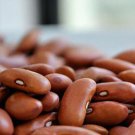 25 Chocolate Asparagus Beans Seeds ,black Bean,Beans,SW123 25 Chocolate Asparagus Beans Seeds ,black Bean,Beans,SW123