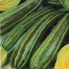 15 zucchini zebra seeds,organic zucchini ,zebra squash,SW134 15 zucchini zebra seeds,organic zucchini ,zebra squash,SW134