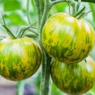 Tomato Zebra green seeds , Tomato seeds,organic seeds, 0,15 g - #253 Tomato Zebra green seeds , Tomato seeds,organic seeds, 0,15 g - #253