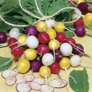 Radish MIX EASTER EGGS,Yellow ,White,Red Radish seeds,organic, 2 g - ##19 Radish MIX EASTER EGGS,Yellow ,White,Red Radish seeds,organic, 2 g - ##19
