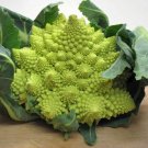 Cabbage Broccoli Romanesque,cabbage seeds,organic seeds, 0,5 g - ##23