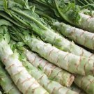 Asparagus salad USUN, salad seeds,organic seeds, 1 g - ##28 Asparagus salad USUN, salad seeds,organic seeds, 1 g - ##28