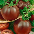 Tomato Viagra, Tomato seeds,organic seeds, 0,1 g - #107