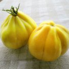 Tomato Truffle yellow, Tomato seeds,organic seeds, 0,1 g - #122