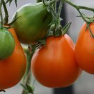 Tomato Japanese truffle yellow, Tomato seeds,organic seeds, 0,1 g - #130 Tomato Japanese truffle yellow, Tomato seeds,organic seeds, 0,1 g - #130