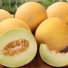Melon Honey, Melon organic,organic seeds, 2 g - #143 Melon Honey, Melon organic,organic seeds, 2 g - #143