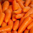 ,Carrots Moscow Winter,about 250 seeds, Carrot organic - #171